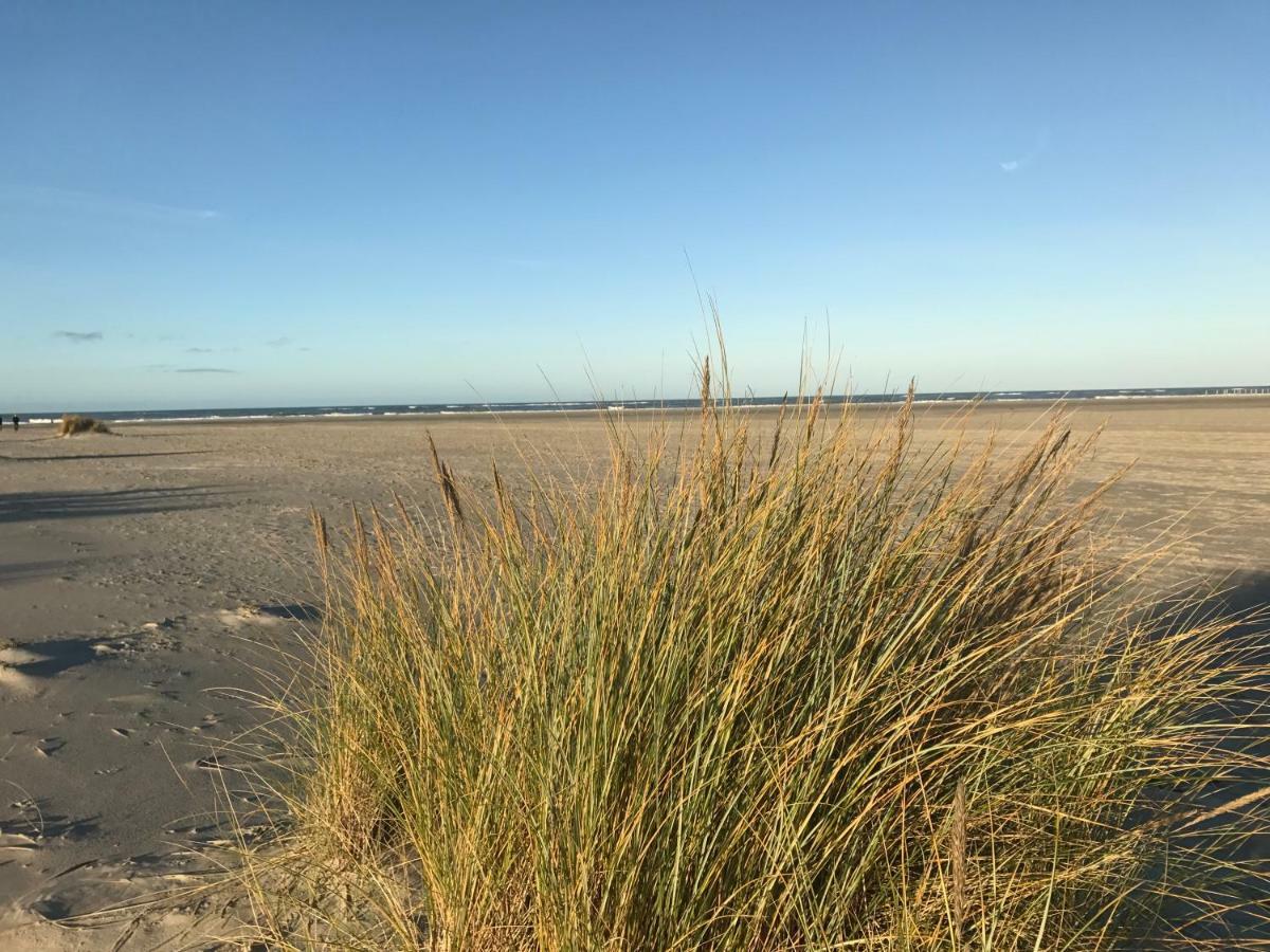 Strandlogement Om De Noord Schiermonnikoog Zewnętrze zdjęcie